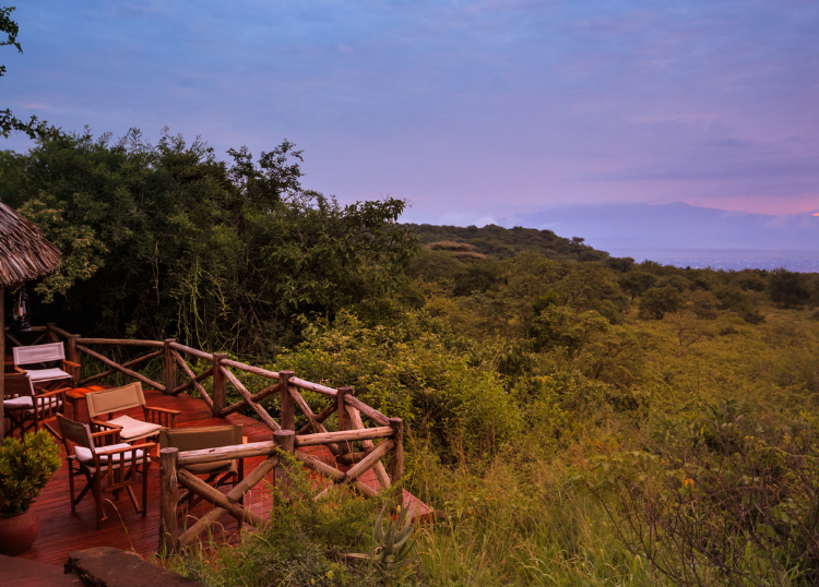 Eco-Lodges Leading the Way in Sustainable Tourism