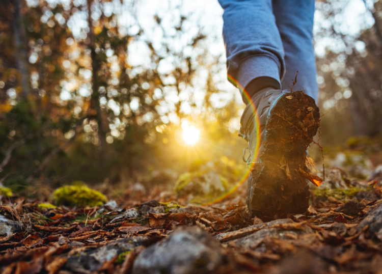 Multi-Day Hiking Trails for Experienced Adventurers