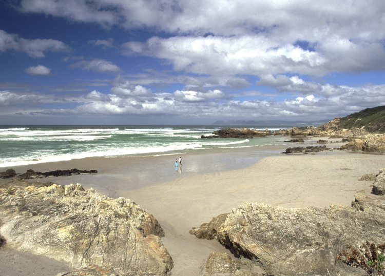 The Best Coastal Walks Along South Africa’s Shoreline