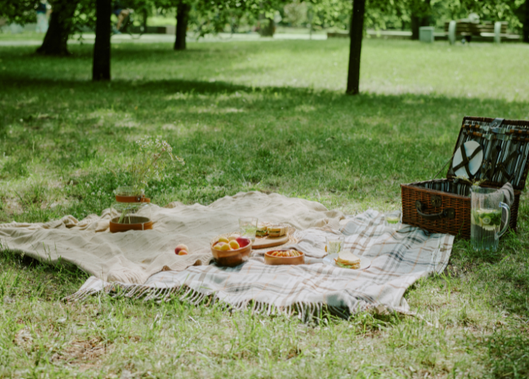 Picnic_Destinations