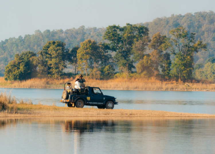 Photography Tips for Your First Safari