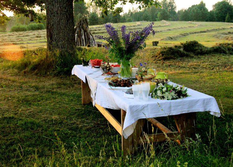 Farm-to-Table Experiences Across the Country