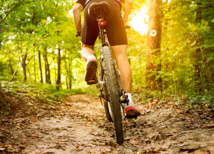 Beginner-Friendly Mountain Biking Destinations