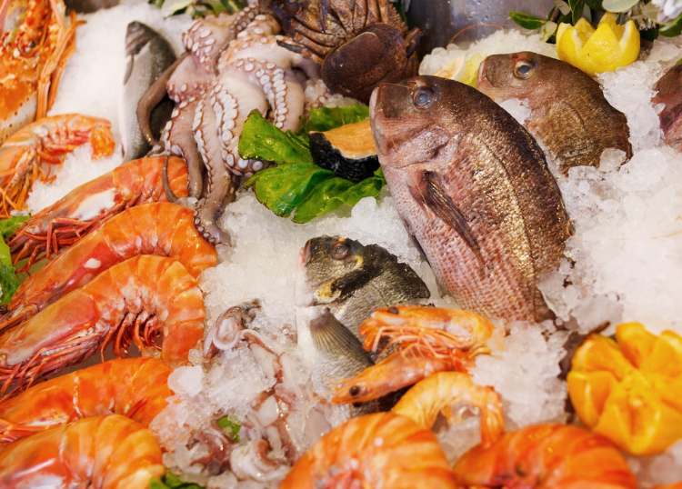 South African Coastal Towns Known for Fresh Seafood