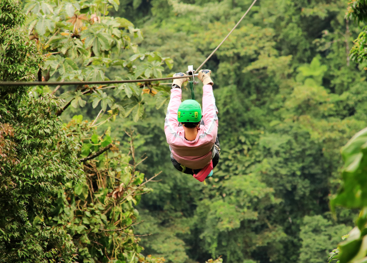 South Africa’s Best Zipline Experiences for Scenic Views